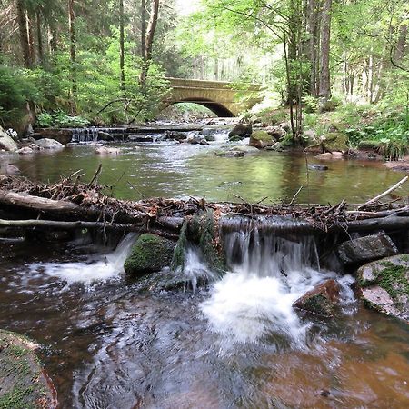 Fewo Kruse Am Wurmberg Braunlage Ngoại thất bức ảnh