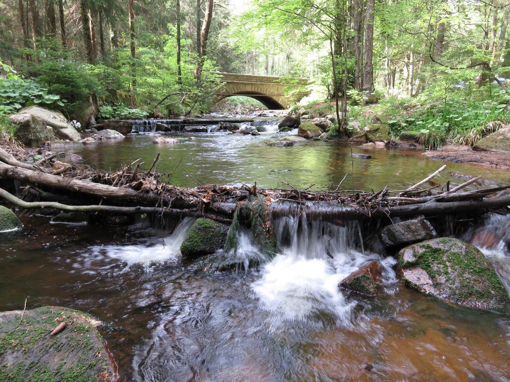 Fewo Kruse Am Wurmberg Braunlage Ngoại thất bức ảnh